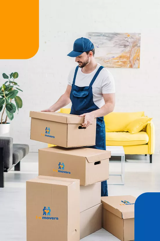 ISMovers Professional Team